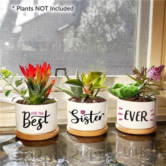 Pretty Sister Gift,Our Best Sister Ever Pots are Beautiful Gifts for Mothers Day - Picture 3 of 6